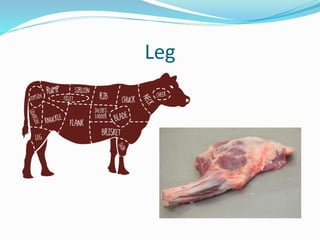 Leg
 