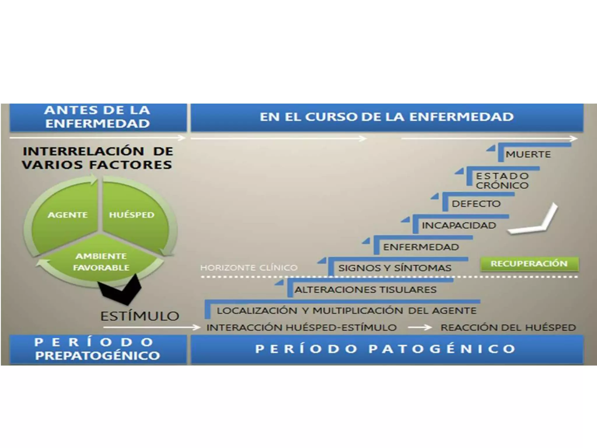 Diagram de leavell y clarck historia natural de la enfermedad | PPTX
