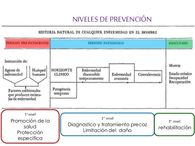 Diagram de leavell y clarck historia natural de la enfermedad