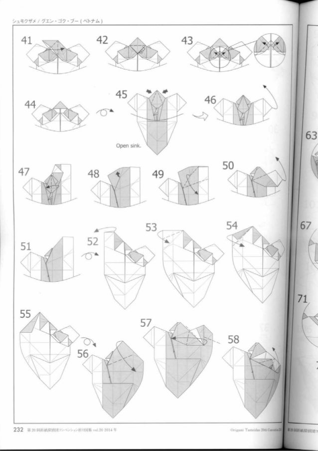 Diagram hammerhead shark nguyen ngoc vu[super]