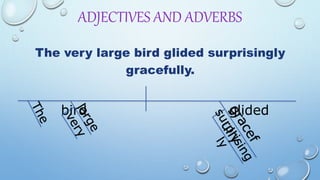 ADJECTIVES AND ADVERBS
The very large bird glided surprisingly
gracefully.
bird glided
 