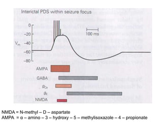 NMDA = N-methyl – D – aspartate
AMPA = α – amino – 3 – hydroxy – 5 – methylisoxazole – 4 – propionate
 