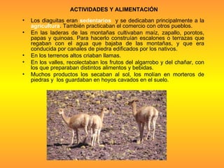 ACTIVIDADES Y ALIMENTACIÓN Los diaguitas eran  sedentarios  y se dedicaban principalmente a la  agricultura . También practicaban el comercio con otros pueblos.  En las laderas de las montañas cultivaban maíz, zapallo, porotos, papas y quinoas. Para hacerlo construían escalones o terrazas que regaban con el agua que bajaba de las montañas, y que era conducida por canales de piedra edificados por los nativos.  En los terrenos altos criaban llamas. En los valles, recolectaban los frutos del algarrobo y del chañar, con los que preparaban distintos alimentos y bebidas.  Muchos productos los secaban al sol, los molían en morteros de piedras y  los guardaban en hoyos cavados en el suelo. 
