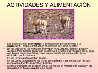 ACTIVIDADES Y ALIMENTACIÓN Los diaguitas eran  sedentarios  y se dedicaban principalmente a la  agricultura . También practicaban el comercio con otros pueblos.  En las laderas de las montañas cultivaban maíz, zapallo, porotos, papas y quinoas. Para hacerlo construían escalones o terrazas que regaban con el agua que bajaba de las montañas, y que era conducida por canales de piedra edificados por los nativos.  En los terrenos altos criaban llamas. En los valles, recolectaban los frutos del algarrobo y del chañar, con los que preparaban distintos alimentos y bebidas.  Muchos productos los secaban al sol, los molían en morteros de piedras y  los guardaban en hoyos cavados en el suelo. 