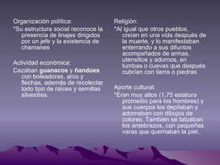 Organización política: *Su estructura social reconoce la presencia de linajes dirigidos por un jefe y la existencia de chamanes  Actividad económica: Cazaban  guanacos  y  ñandúes  con boleadoras, arco y flechas, además de recolectar todo tipo de raíces y semillas silvestres. Religión: *Al igual que otros pueblos, creían en una vida después de la muerte, y lo manifestaban enterrando a sus difuntos acompañados de armas, utensilios y adornos, en tumbas o cuevas que después cubrían con tierra o piedras  Aporte cultural: *Eran muy altos (1,75 estatura promedio para los hombres) y sus cuerpos los depilaban y adornaban con dibujos de colores. También se tatuaban los antebrazos, con pequeñas varas que quemaban la piel. 