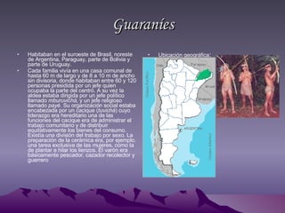 Guaraníes Habitaban en el suroeste de Brasil, noreste de Argentina, Paraguay, parte de Bolivia y parte de Uruguay.  Cada familia vivía en una casa comunal de hasta 60 m de largo y de 8 a 10 m de ancho sin divisoria, donde habitaban entre 60 y 120 personas presidida por un jefe quien ocupaba la parte del centro. A su vez la aldea estaba dirigida por un jefe político llamado  mburuvichá , y un jefe religioso llamado  payé . Su organización social estaba encabezada por un cacique ( tuvichá ) cuyo liderazgo era hereditario una de las funciones del cacique era de administrar el trabajo comunitario y de distribuir equitativamente los bienes del consumo. Existía una división del trabajo por sexo. La preparación de la cerámica era, por ejemplo, una tarea exclusiva de las mujeres, como la de plantar e hilar los lienzos. El varón era básicamente pescador, cazador recolector y guerrero Ubicación geográfica : 