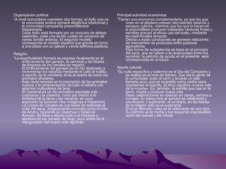 Organización política: *A nivel comunitario coexisten dos formas: el Ayllu que es la comunidad andina aymará altiplánica tradicional y la comunidad campesina precordillerana hispanizada. Cada Ayllu está formado por un conjunto de aldeas pastoriles, cada una de las cuales se compone de varias familia extensa. El segundo modelo corresponde al modelo español que gravita en torno a una plaza con su iglesia y varios edificios públicos. Religión: *La espiritualidad Aymará se expresa ritualmente en el enfloramiento del ganado, el carnaval y las fiestas de limpieza de los canales de regadío.  El Enfloramiento del ganado es un rito destinado a incrementar los rebaños mediante el culto al mallku o espíritu de la montaña: él es el dueño de todos los animales silvestres.  Este ritual consiste en la marcación de los animales nuevos y la ornamentación de todo el rebaño con adornos multicolores de lana. El Carnaval es un rito sincrético asociado a la cuaresma y la cosecha, como así mismo a la fertilidad de la tierra y los rebaños, en cuya expresión se fusionan ritos indígenas e hispánicos.  La Limpia de Canales es una fiesta de dedicada al culto del agua, antiguamente conocida como el mito de Amaru, serpiente en Quechua o Katari en Aymara. Se lleva a efecto junto a la limpieza y apertura de los canales de riego, poco antes de la inauguración del nuevo ciclo agrícola. Principal actividad económica: *Tienen una economía complementaria, ya que los que viven en el altiplano poseen abundantes rebaños y escasos cultivos, mientras que los que lo hacen en la precordillera producen bastantes verduras frutas y semillas gracias al eficaz uso del suelo, mediante las tradicionales terrazas.  Debido a estas condiciones se generan relaciones de intercambio de productos entre pastores agricultores.  Esta forma de subsistencia se basa en el principio del ayne, que se refiere a la reciprocidad entre los aymarás: la petición de ayuda en el presente, será correspondida en el futuro. Aporte cultural: *Su culto específico y solemne es el Día del Compadre y se realiza en el mes de febrero. Ese día la gente de la comunidad, sube al cerro y levanta un palo llamado arco, que es revestido como pastor para representar el espíritu. El Arco significa «nueva vida de la muerte». Es, también, la semilla que cae en la tierra, muere y produce nueva vida. Estas celebraciones se realizan en casas, campos y corrales. En estos ritos el aymara es celebrante y sacrificador o suplicante; al contrario, en las fiestas de la religión sólo es el suplicante. El brujo llamado Laika es el celebrante de sus ritos. Su dominio es la noche y los requeríos inaccesibles, como las cuevas y las minas.  