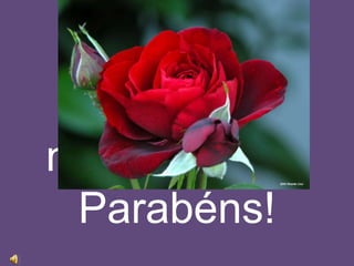 Vitoriosas mulheres do mundo inteiro Parabéns! 