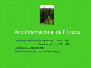 Ano Internacional da Floresta Trabalho realizado por: Marina Sousa      nº16     8º1                                           Sara Antunes         nº25      8º1 Escola: João Gonçalves Zarco Realizado na Disciplina de:Área de Projecto  
