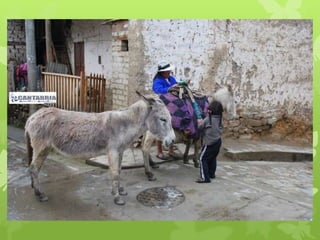 DÍA INTERNACIONAL DEL NIÑO. EN CABANA- ANCASH