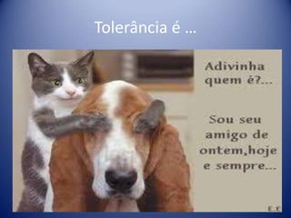 Tolerância é …
 