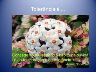 Tolerância é …



                 …




«Concede ao teu espírito o hábito da dúvida,
  e ao teu coração o da tolerância.»
                               Arthur Schnitzler
 