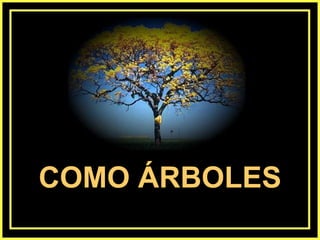COMO ÁRBOLES