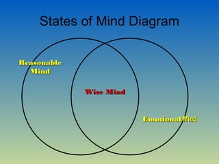 States of Mind Diagram

Reasonable
  Mind

             Wise Mind


                         Emotional Mind
 