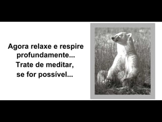 Agora relaxe e respire profundamente... Trate de meditar,  se for possível...  