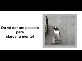 Ou vá dar um passeio para clarear a mente! 
