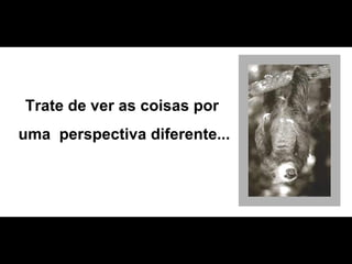 Trate de ver as coisas por  uma  perspectiva diferente... 