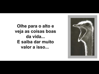 Olhe para o alto e veja  as coisas boas da vida... E saiba dar muito valor a isso ...  