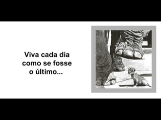 Viva cada dia como se fosse o último...  