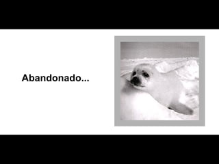 Abandonado...  