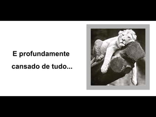 E profundamente  cansado de tudo... 