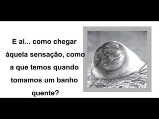 E aí... como chegar  àquela sensação, como  a que temos quando  tomamos um banho  quente? 