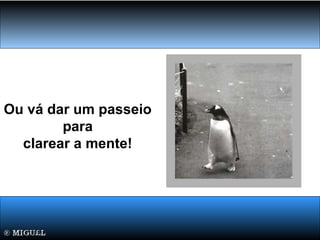 Ou vá dar um passeio
para
clarear a mente!
 