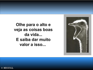 Olhe para o alto e
veja as coisas boas
da vida...
E saiba dar muito
valor a isso...
 