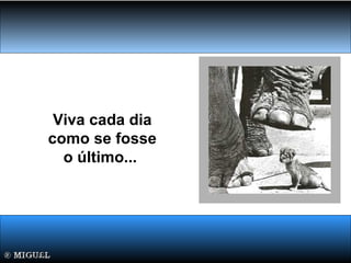 Viva cada dia
como se fosse
o último...
 