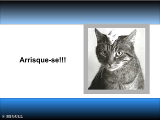 Arrisque-se!!!
 