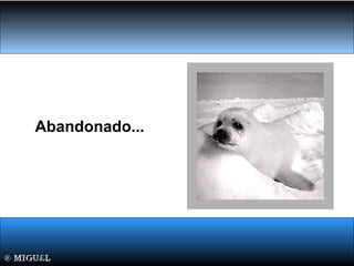 Abandonado...
 