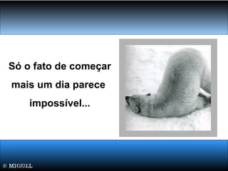 Só o fato de começar
mais um dia parece
impossível...
 