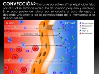 CONVECCIÓN>(“arrastre por solvente”) es el principio físico
por el cual se eliminan moléculas de tamaño pequeño y mediano.
Es el paso pasivo de solutos por su arrastre al paso de agua, y
depende únicamente de la permeabilidad de la membrana a los
diversos solutos
 