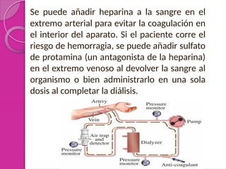 Se puede añadir heparina a la sangre en el
extremo arterial para evitar la coagulación en
el interior del aparato. Si el paciente corre el
riesgo de hemorragia, se puede añadir sulfato
de protamina (un antagonista de la heparina)
en el extremo venoso al devolver la sangre al
organismo o bien administrarlo en una sola
dosis al completar la diálisis.
 