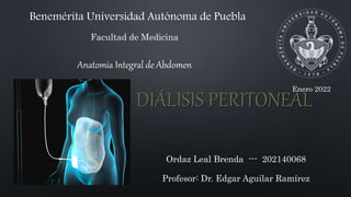 Ordaz Leal Brenda --- 202140068
Profesor: Dr. Edgar Aguilar Ramírez
Facultad de Medicina
DIÁLISIS PERITONEAL
Benemérita Universidad Autónoma de Puebla
Anatomía Integral de Abdomen
Enero 2022
 
