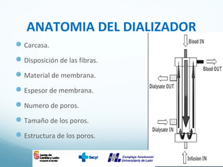 ANATOMIA DEL DIALIZADOR
Carcasa.
Disposición de las fibras.
Material de membrana.
Espesor de membrana.
Numero de poros.
Tamaño de los poros.
Estructura de los poros.
 