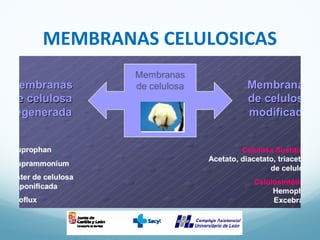 MEMBRANAS CELULOSICAS
 