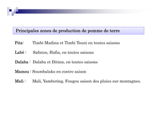 Principales zones de production de pomme de terre

Pita:    Timbi Madina et Timbi Touni en toutes saisons

Labé :   Safatou, Hafia
         Safatou Hafia, en toutes saisons

Dalaba : Dalaba et Ditinn, en toutes saisons

Mamou : Soumbalako en contre saison

Mali :   Mali, Yambering, Fougou saison des pluies sur montagnes.
 