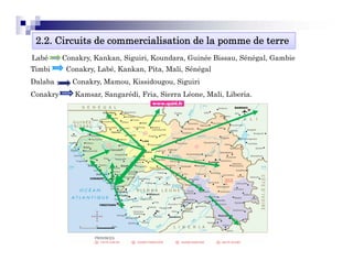 2.2. Circuits de commercialisation de la pomme de terre
Labé      Conakry, Kankan, Siguiri, Koundara, Guinée Bissau, Sénégal, Gambie
Timbi      Conakry, Labé, Kankan, Pita, Mali, Sénégal
Dalaba      Conakry, Mamou, Kissidougou, Siguiri
                  y,      ,         g , g
Conakry      Kamsar, Sangarédi, Fria, Sierra Léone, Mali, Liberia.
 