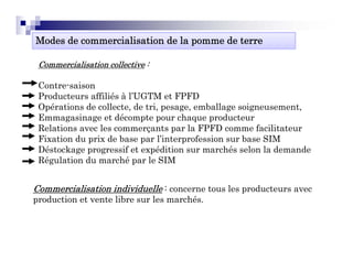 Modes de commercialisation de la pomme de terre

 Commercialisation collective :

 Contre-saison
 Contre saison
 Producteurs affiliés à l’UGTM et FPFD
 Opérations de collecte, de tri, pesage, emballage soigneusement,
 Emmagasinage et décompte pour chaque producteur
 Relations avec les commerçants par la FPFD comme facilitateur
 Fixation du prix de base par l’interprofession sur base SIM
 Déstockage p g
          g progressif et expédition sur marchés selon la demande
                             p
 Régulation du marché par le SIM


Commercialisation i di id ll : concerne tous les producteurs avec
C      i li ti individuelle             t    l      d t
production et vente libre sur les marchés.
 