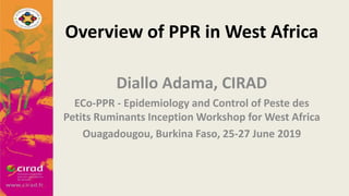 Overview of PPR in West Africa
Diallo Adama, CIRAD
ECo-PPR - Epidemiology and Control of Peste des
Petits Ruminants Inception Workshop for West Africa
Ouagadougou, Burkina Faso, 25-27 June 2019
 