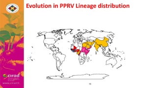 Overview of PPR in West Africa