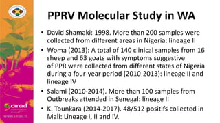 Overview of PPR in West Africa