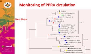 Overview of PPR in West Africa