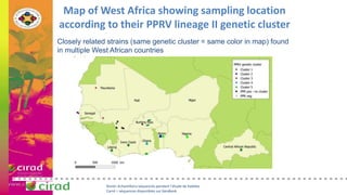 Overview of PPR in West Africa