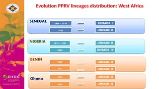Overview of PPR in West Africa