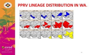 Overview of PPR in West Africa