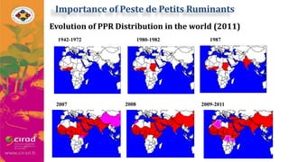 Overview of PPR in West Africa