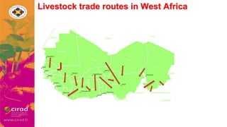 Overview of PPR in West Africa
