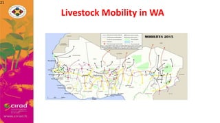 Overview of PPR in West Africa